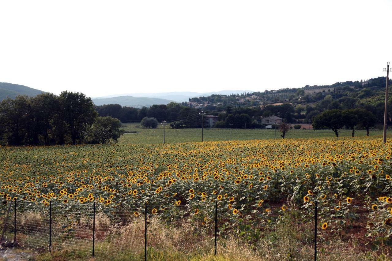 Il Casolare Green House Perugia Esterno foto